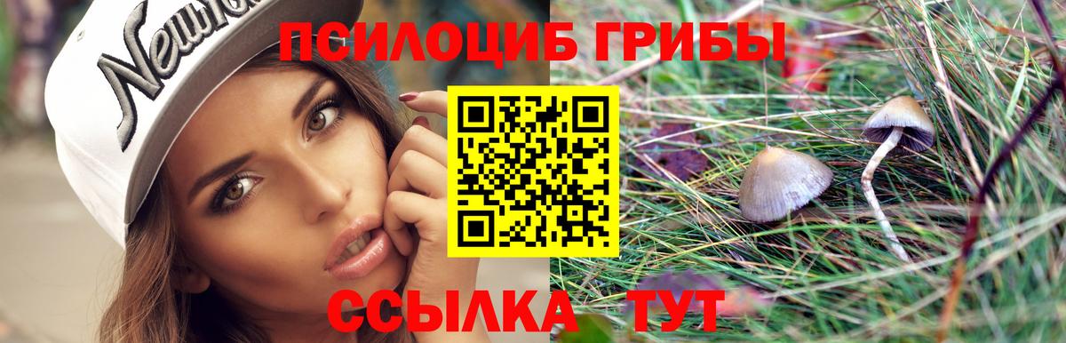 Галлюциногенные грибы Cubensis Гулькевичи